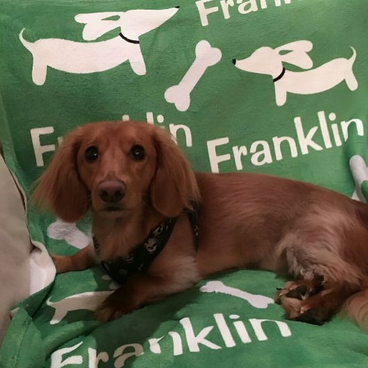 Polaire Couverture personnalisée Brown Dachshund Wiener Do