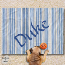 Couverture pour animaux à motif rayé neutre bleu b