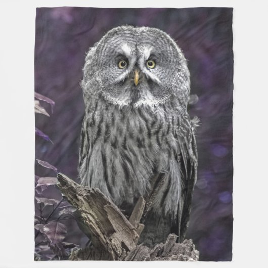 Polaire Couverture pourpre de hibou de grand gris (Devant)