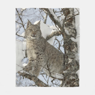 Polaire Couverture sauvage d'ouatine de chat de Lynx
