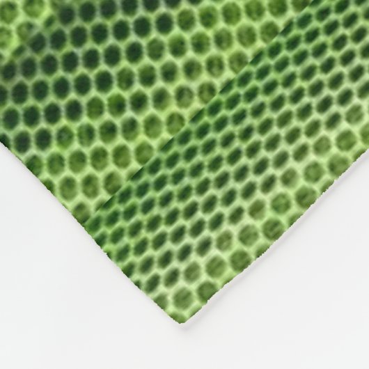 Polaire Couverture verte (Coin)