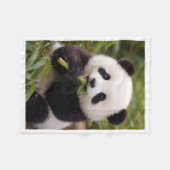 Polaire Doux bébé panda mangeant la couverture de bébé en (Devant (Horizontal))