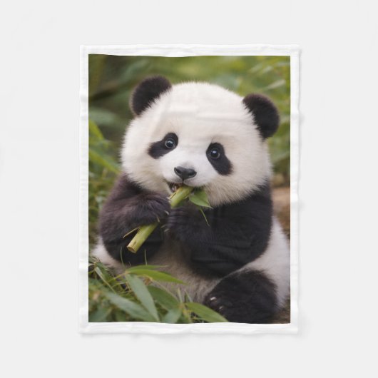Polaire Doux bébé panda mangeant la couverture de bébé en (Devant)
