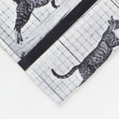 Polaire EADWEARD MUYBRIDGE : Chat marchant - couverture (Coin)