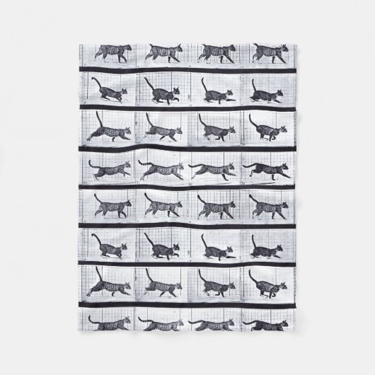 Polaire EADWEARD MUYBRIDGE : Chat marchant - couverture (Devant)