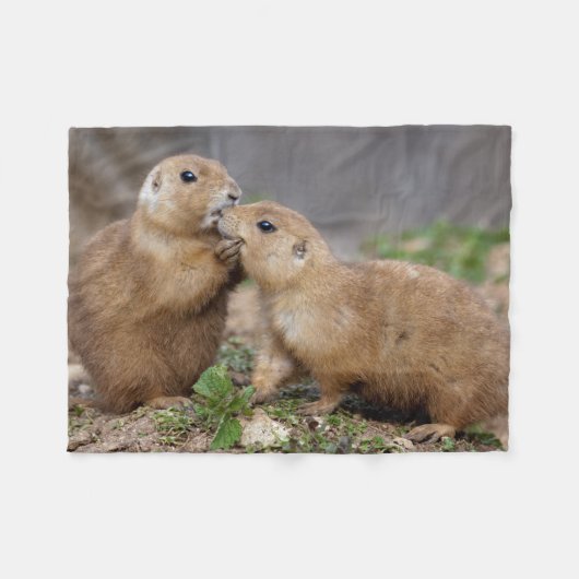 Polaire Embrassez-moi couverture rapide d'ouatine (Devant (Horizontal))