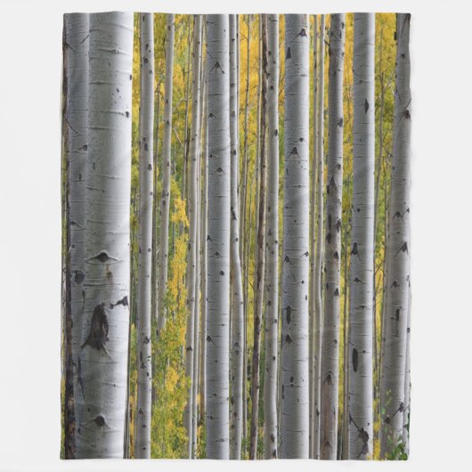 Polaire Forêt de Birch rustique Toison couverture (Devant)