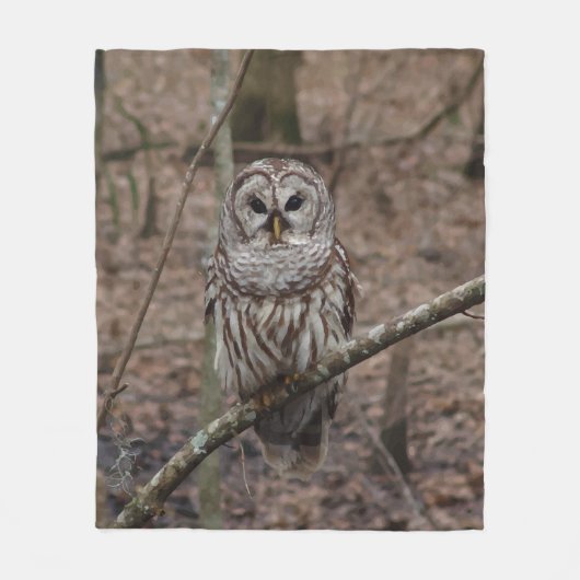 Polaire Hibou barré dans la couverture d'ouatine d'image (Devant)