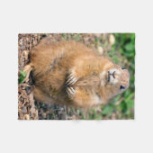 Polaire Je ne suis pas gros, je suis couverture câline (Devant (Horizontal))