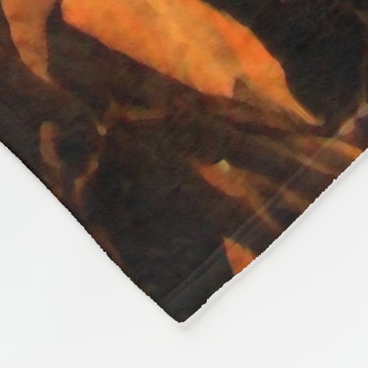 Polaire Kokopelli avec le feu pilote la couverture de (Coin)