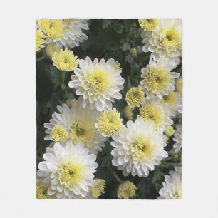 Polaire L'aster fleurit la couverture d'ouatine