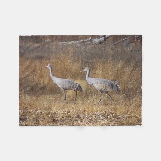 Polaire Les oiseaux Sandhill tend le cou la couverture (Devant (Horizontal))