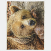 Polaire L'ours gris Brown concernent la couverture (Devant)