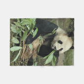 Polaire Ours panda mignon mangeant la couverture d'ouatine (Devant (Horizontal))