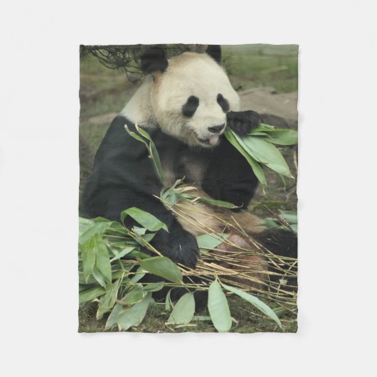 Polaire Ours panda mignon mangeant la couverture d'ouatine (Devant)