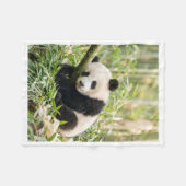 Polaire Panda Endormi dans une couverture de bambou (Devant (Horizontal))