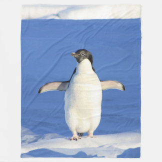 Polaire Pingouin sur la couverture d'ouatine de glace