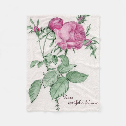 Polaire Rosa Centifolia Foliacea Jetée de couverture (Devant)