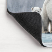 Polar Bear Family On an Ice Floe Muismat (Hoek)