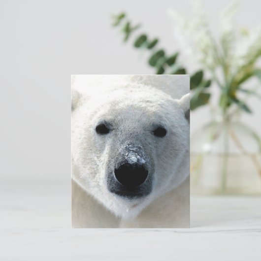 Polar Bear Flat Card (Staand voorkant)