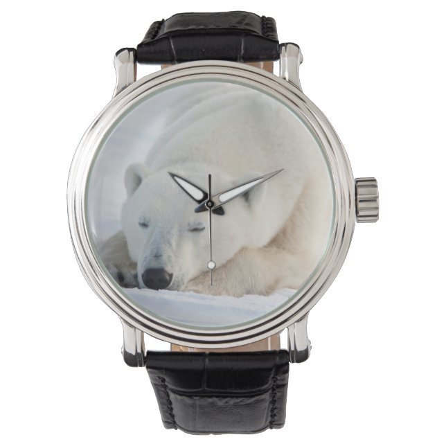 Polar Bear Horloge (Voorkant)