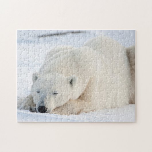 Polar Bear Legpuzzel (Horizontaal)
