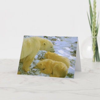 Polar Bear maman et ses petits papeterie cartes bl