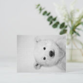 Polar-bear, Polar-bear Canvas Gift for Her  Aankondigingskaart (Staand voorkant)