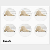 Polar bear scratching itself on frozen tundra ronde sticker (Vel)