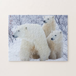 Polar Bears and Two cubs Legpuzzel