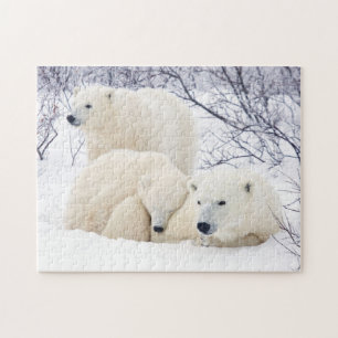 Polar Bears female and Two cubs 3 Legpuzzel