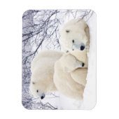 Polar Bears female and Two cubs 3 Magneet (Verticaal)