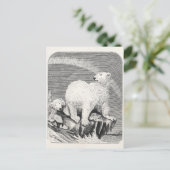  Polar Beer 1800s Arctic Beren Illustration Briefkaart (Staand voorkant)