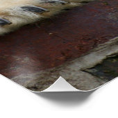 Polar_Beer_2015_0301 Perfect Poster (Hoek)