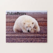 Polar Beer 7 Jigzaag Puzzle Legpuzzel (Horizontaal)