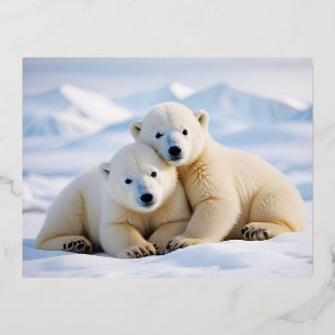 Polar Beer Animal Natuur Wildlife Affection Caring Folie Feestdagen Briefkaart