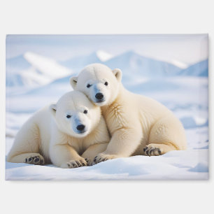 Polar Beer Animal Natuur Wildlife Affection Caring Magneet