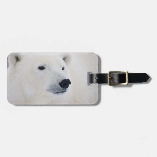 Polar Beer Churchill Bagagelabel (Voorkant horizontaal)