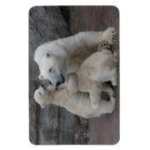 Polar Beer Cubs Magneet (Verticaal)