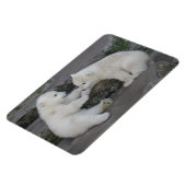 Polar Beer Cubs Magneet (Linkerzijde)