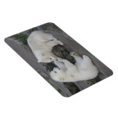 Polar Beer Cubs Magneet (Rechterzijde)