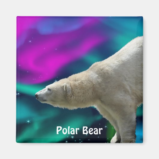 Polar Beer en Aurora Arctic Wildlife Art Magnet Magneet (Voorkant)