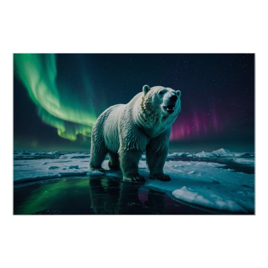 Polar Beer en Aurora Art Perfect Poster (Voorkant)