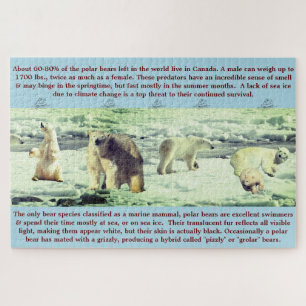 Polar Beer Fun Facts 20 x 30 - 1,014 stuks Legpuzzel