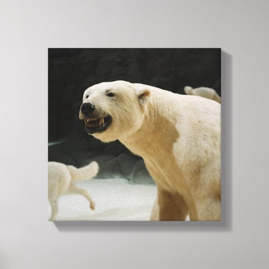 Polar Beer Grin Canvas Afdruk (Voorkant)