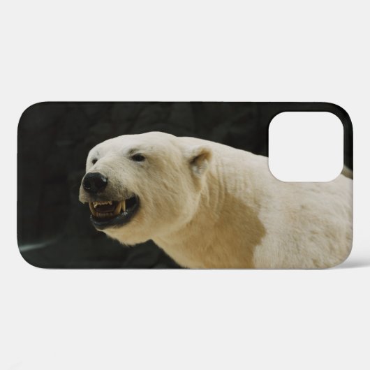 Polar Beer Grin Case-Mate iPhone Case (Achterkant (horizontaal))