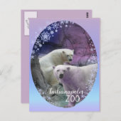 Polar Beer Indy Zoo Briefkaart (Voorkant / Achterkant)