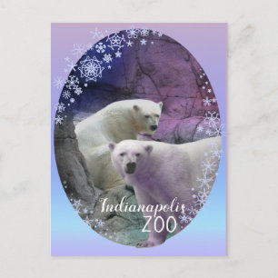 Polar Beer Indy Zoo Briefkaart