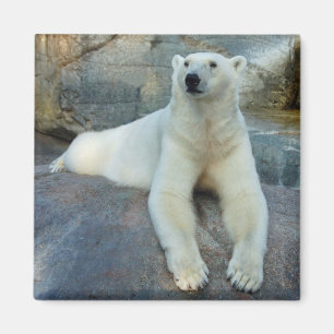 Polar Beer magnet Magneet