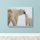 Polar Beer Moeder met Cub Canvas Afdruk (Insitu (Houten vloer))